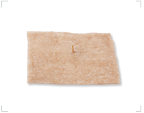 Punaises auriculaires plaquée OR avec sparadrap (des deux côtés)